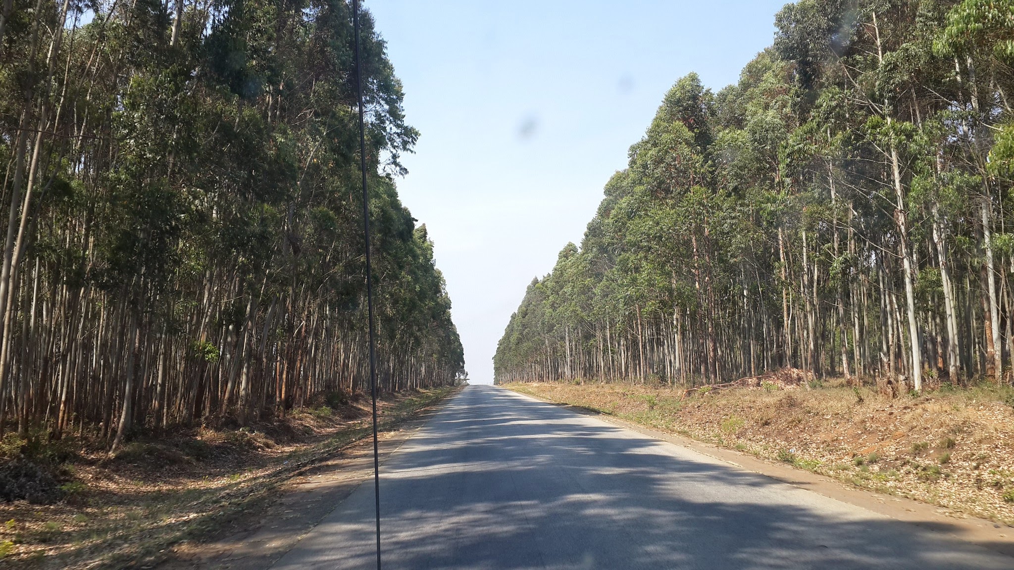 AF1QipOgBaf0prIxJrraLblasfYcyQbGcAVsKtCdFLVd=s0