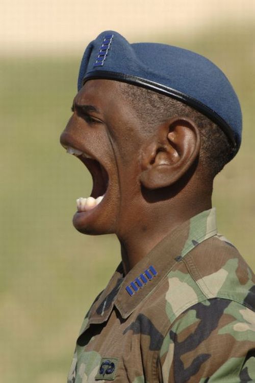 5fd3353e816e4d4a61f0b894325319a3.jpg