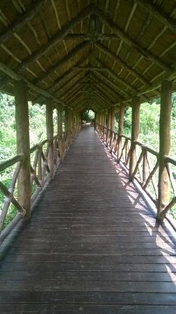 kisumu-impala-sanctuary.jpg
