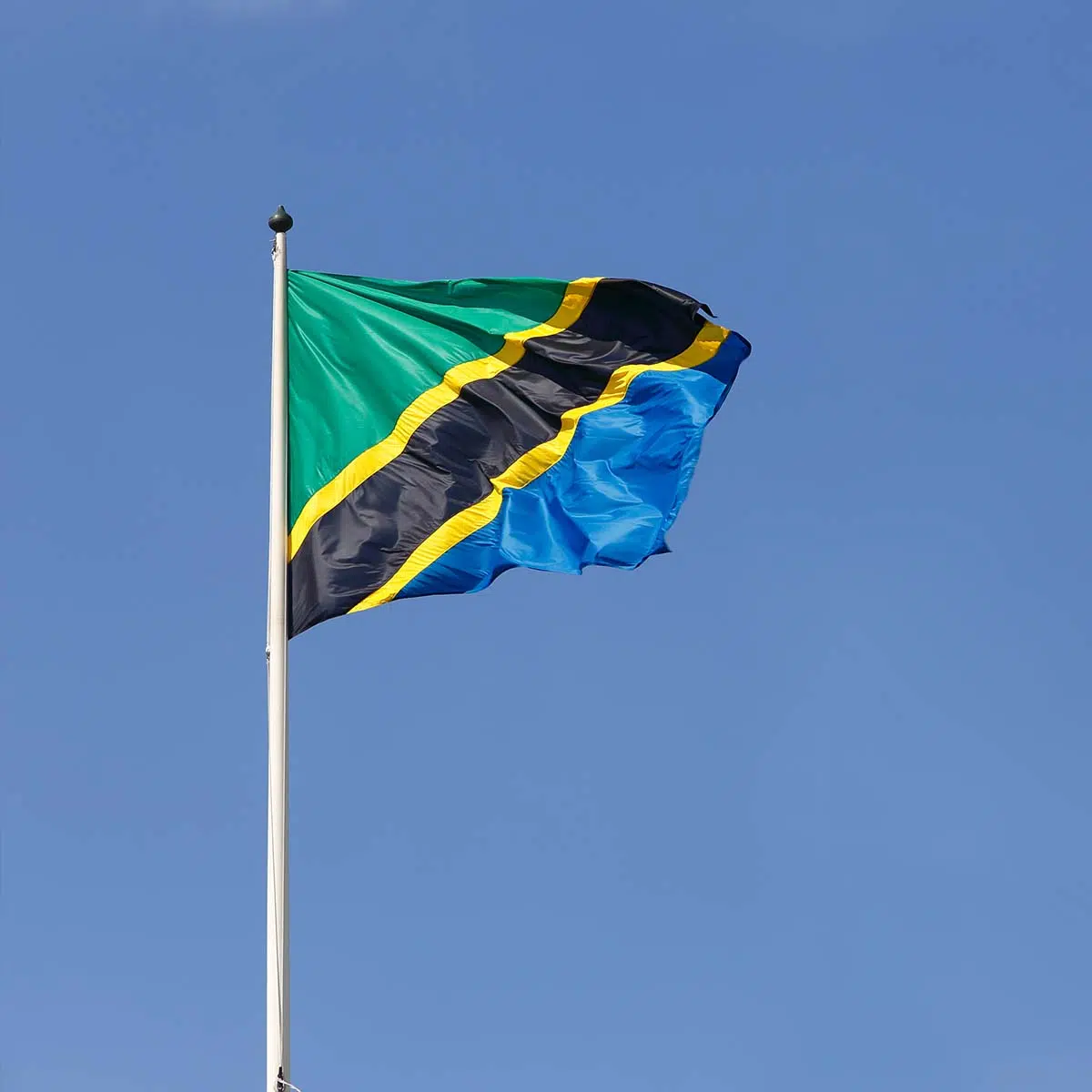 Saba-Saba-Day-in-Tanzania.jpg