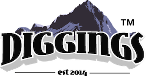 thediggings.com