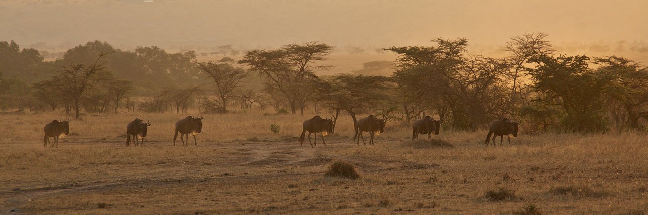 www.tripadvisor.com