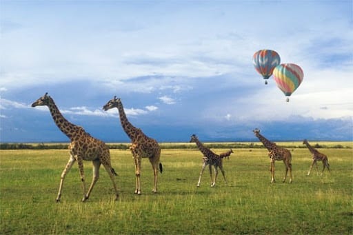 balloon-safaris1.jpg
