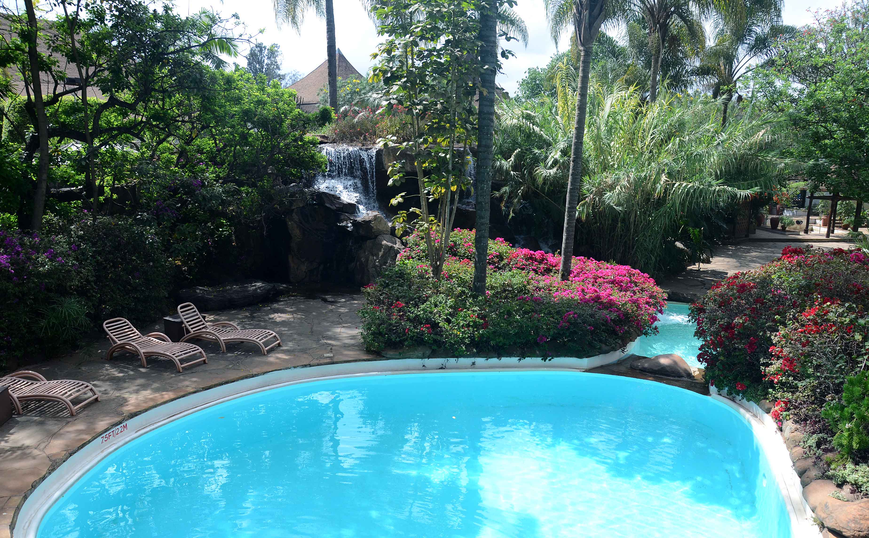 safari-park-hotel.jpg