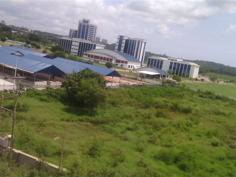 g1764574.jpg