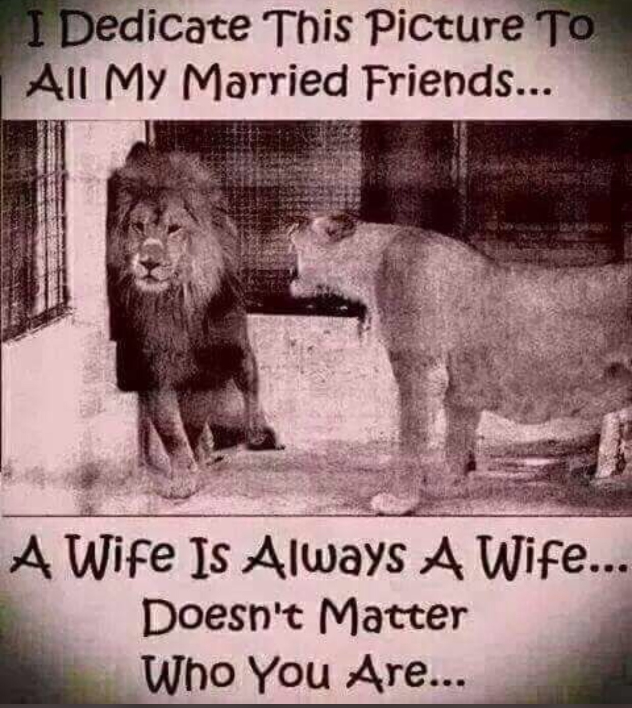 9cbf7fc0efa25bfb80d9621f547c9308.jpg