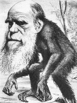 darwin_as_monkey.gif
