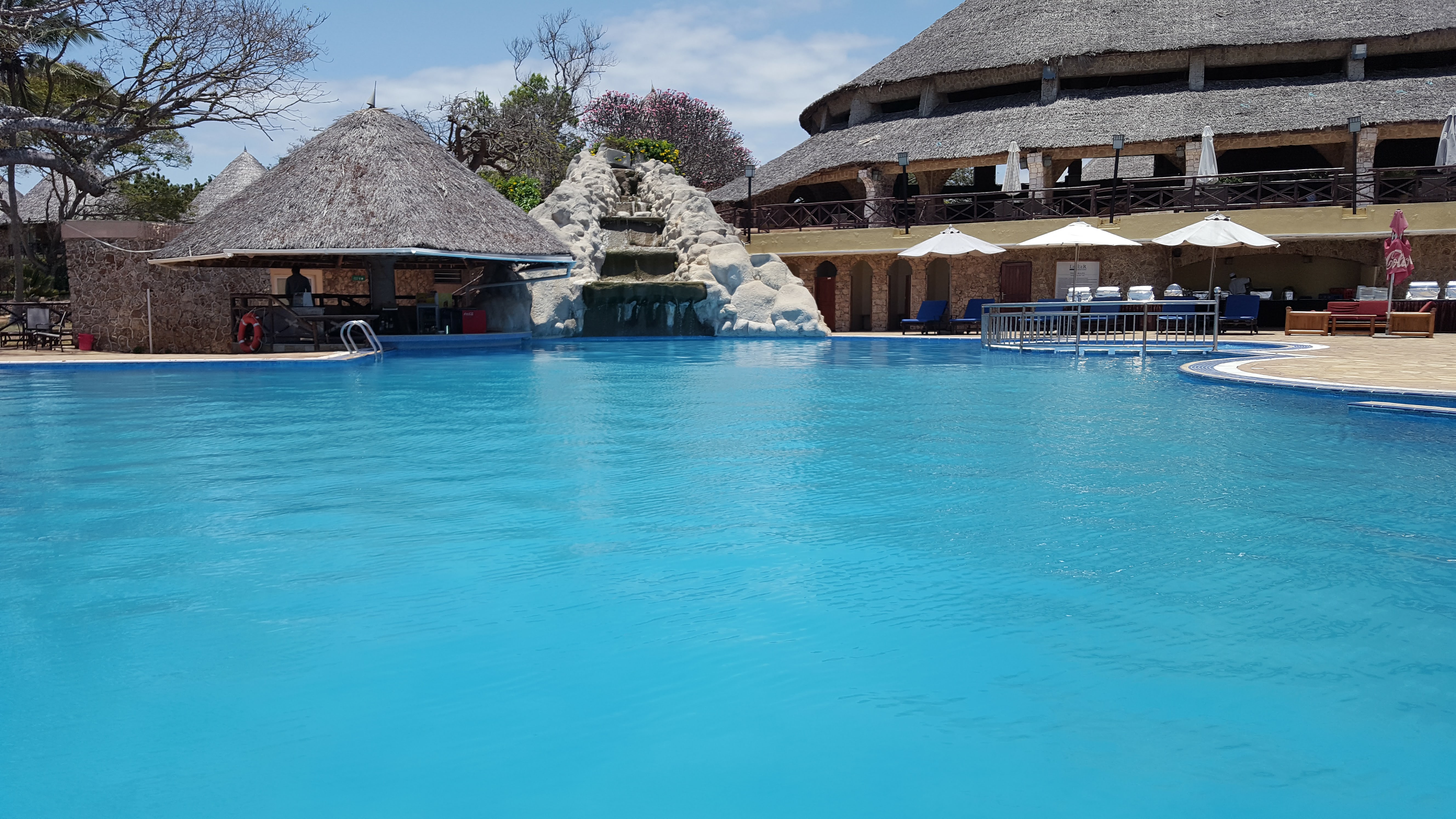 AF1QipOtg8xQPkkdtu4rY2EaF7HDVNuy0v2bxvUrxHZv=s0