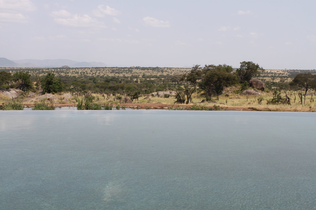 7561193604_b6aebc6dd4_b.jpg