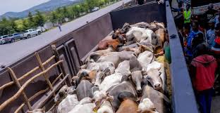 Ethiopian-livestock-by-rail.jpeg