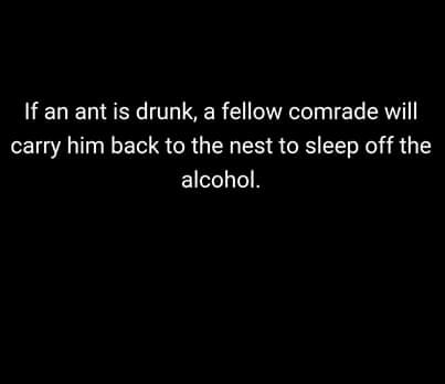 5b9855120b1f8aeb330a5eaca97a3e89.jpg