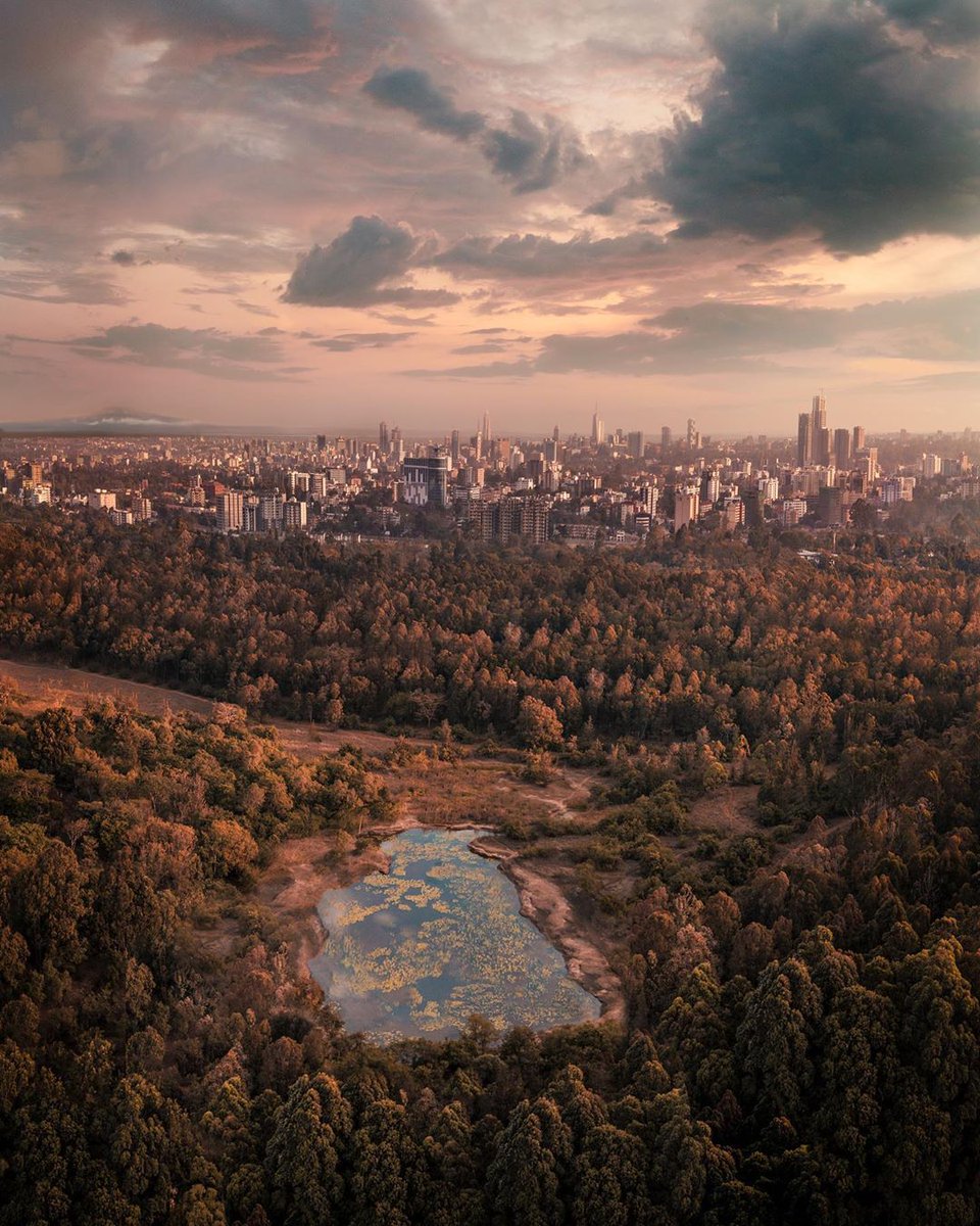 Kenya Pics on Twitter: Warm toned panorama of the growing Nairobi skyline  from Karura Forest. Mount Kilimanjaro and a pond found their way into the  composition. Photo by @GhannamSamy https://t.co/ZaoTIyM5Wz / Twitter