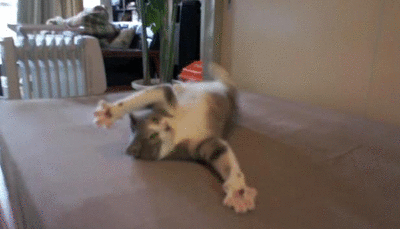 2ac8d0e360224fac56c7a5421471650f.400x229x16.gif