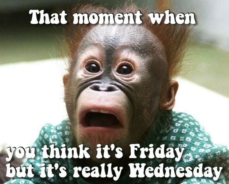 2c9df3d67518ad6ffe38e8e292d2c301--funny-apps-funny-humor.jpg