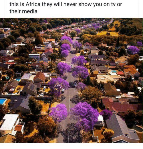 main-qimg-e60617d04b1dcab31f431d66a9d40bd1-lq