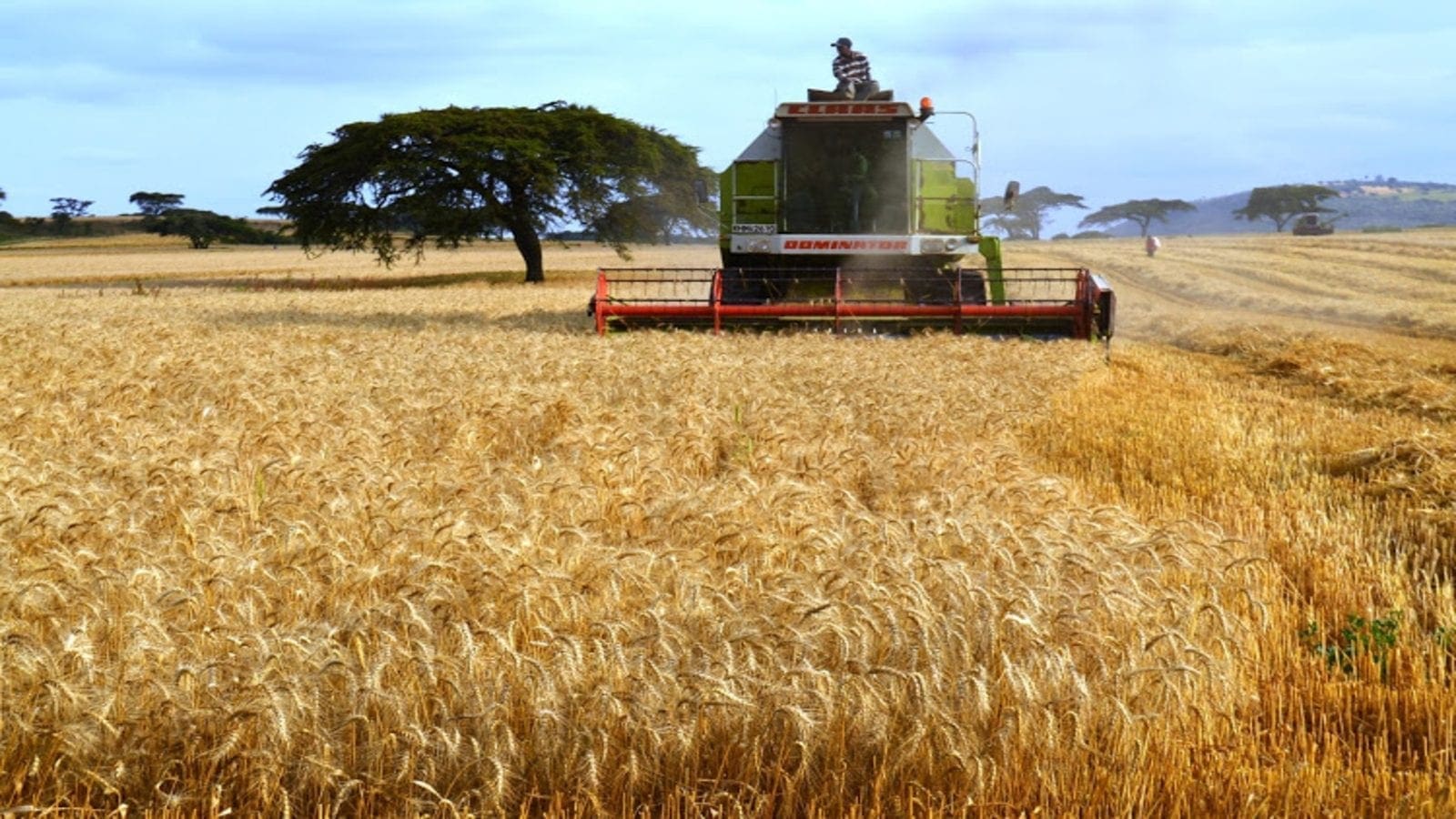 www.foodbusinessafrica.com