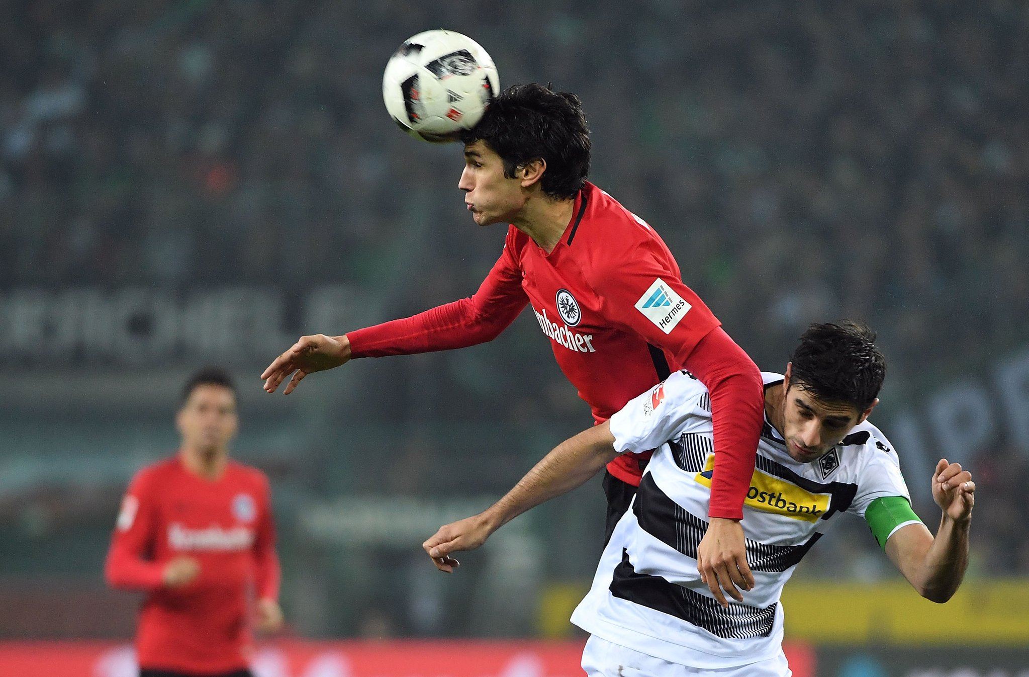 Cv4pGE1WgAoUpv4.jpg:large