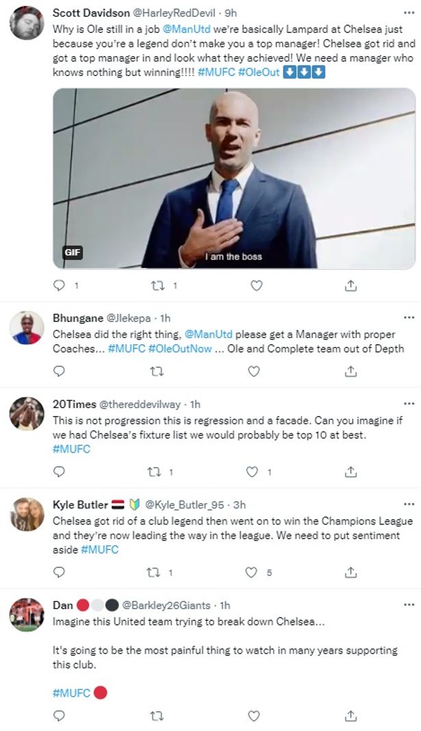 0_Ole-2.jpg