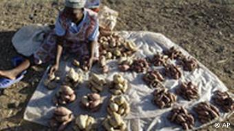 Simbabwe Kartoffelverkäuferin in Harare UN FAO Hunger und Biosprit (AP)