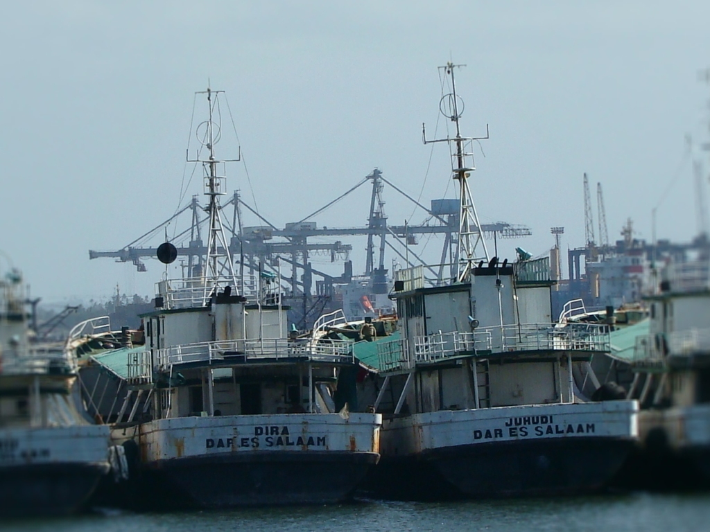 2166565268_561c477a38_o.jpg