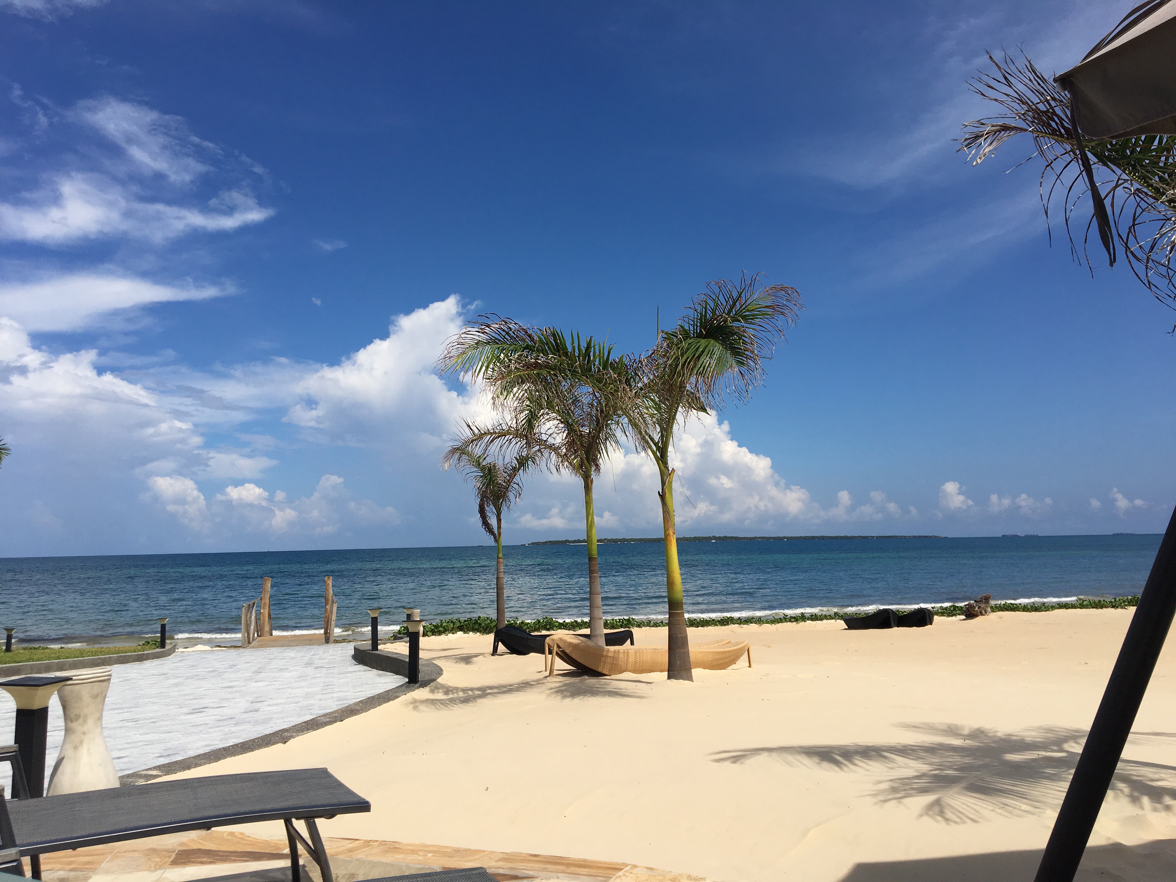 AF1QipNPdOL8jMHsUi8PY6krliLGRFEuvaeXWAzXeSsX=s0