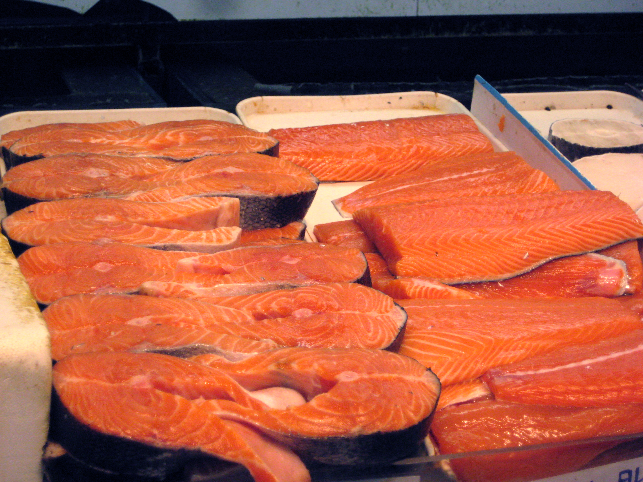 Salmon_Fish.JPG