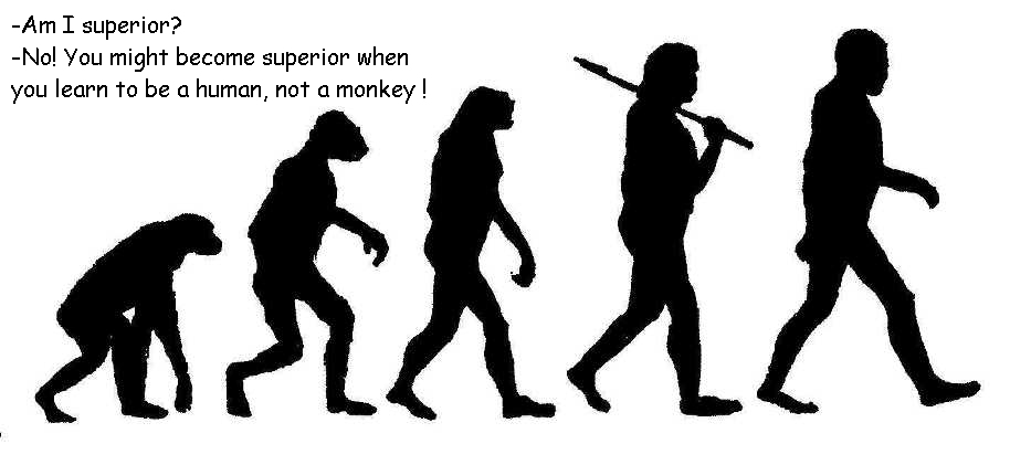 evolution-1.jpg