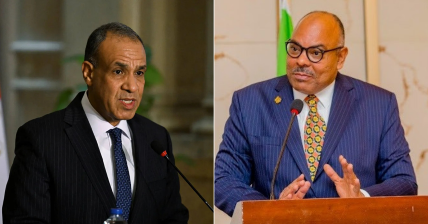Egypt's Minister of Foreign Affairs, Emigration and Egyptian Expatriates, Badr Abdelatty (L) and Tanzanian Foreign Minister Mahmoud Thabit Kombo (R)