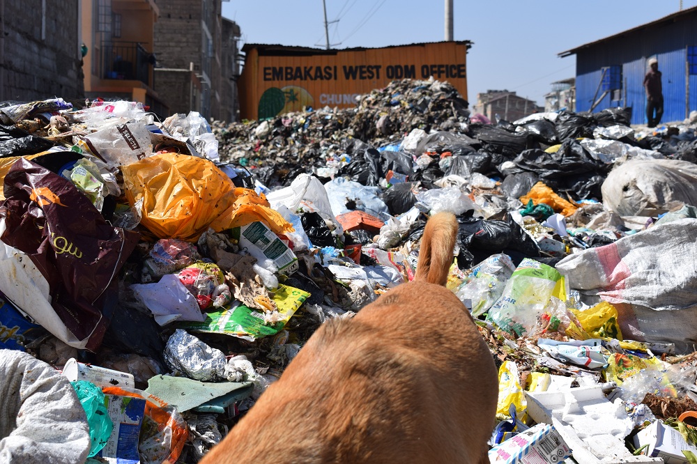 Garbage-at-ODM-office.jpg