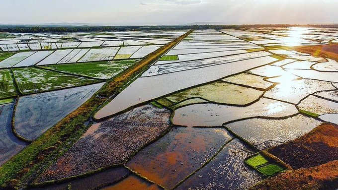 DFpg2NrXgAMTpeA.jpg:small