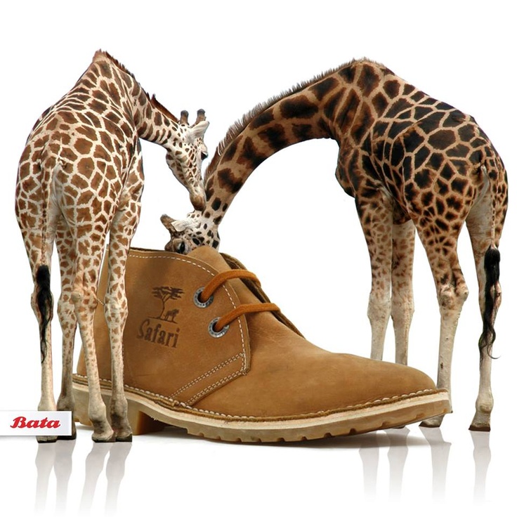 a74625a8d4bc13562361970fcf40b042--bata-my-fashion.jpg