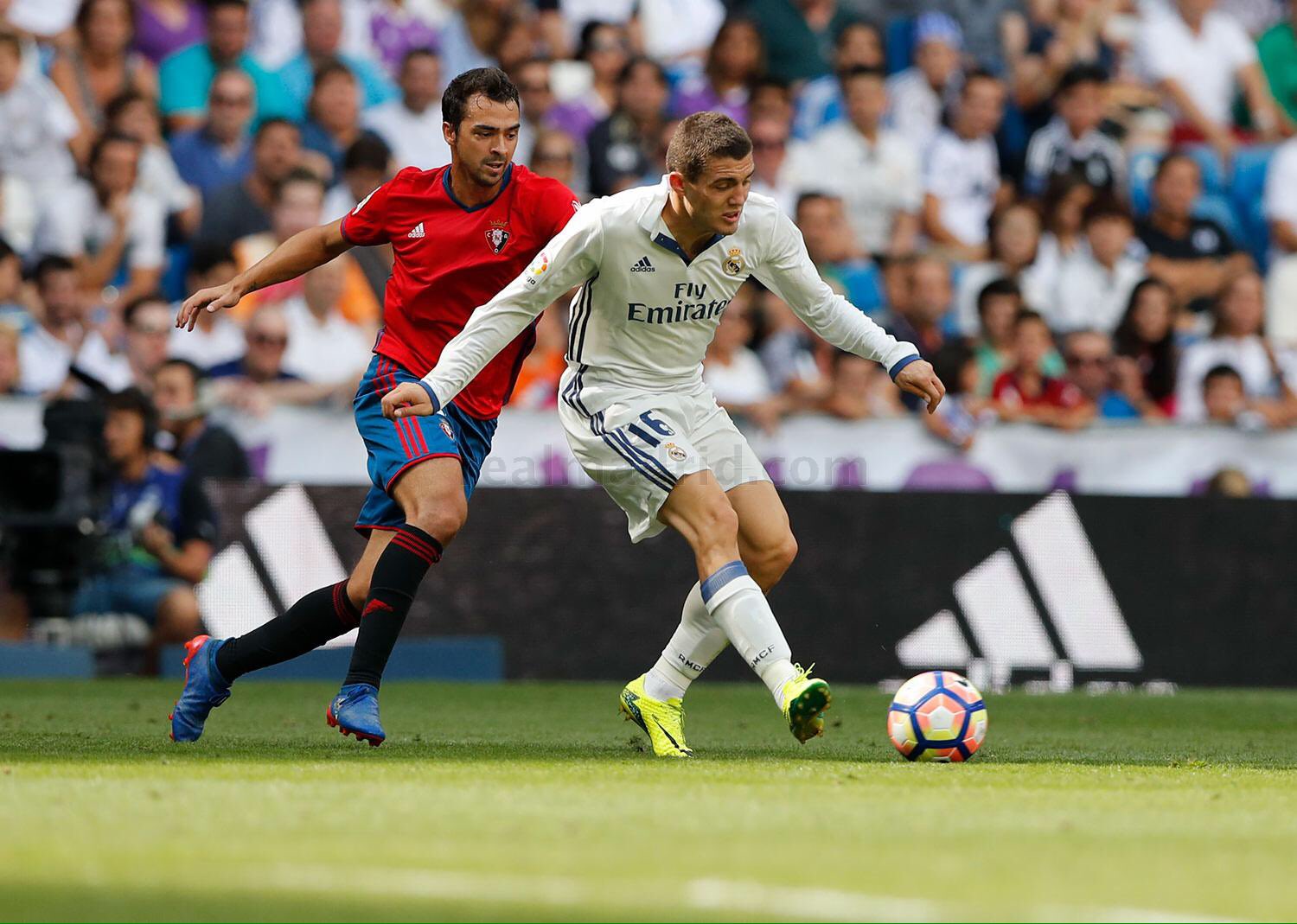 CsBSphZXEAEoSTd.jpg:large