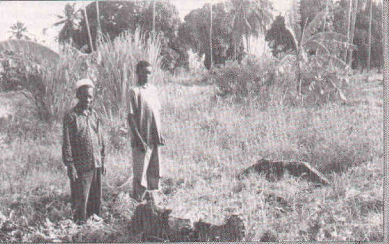 srobert1_jpg_w560h351.jpg