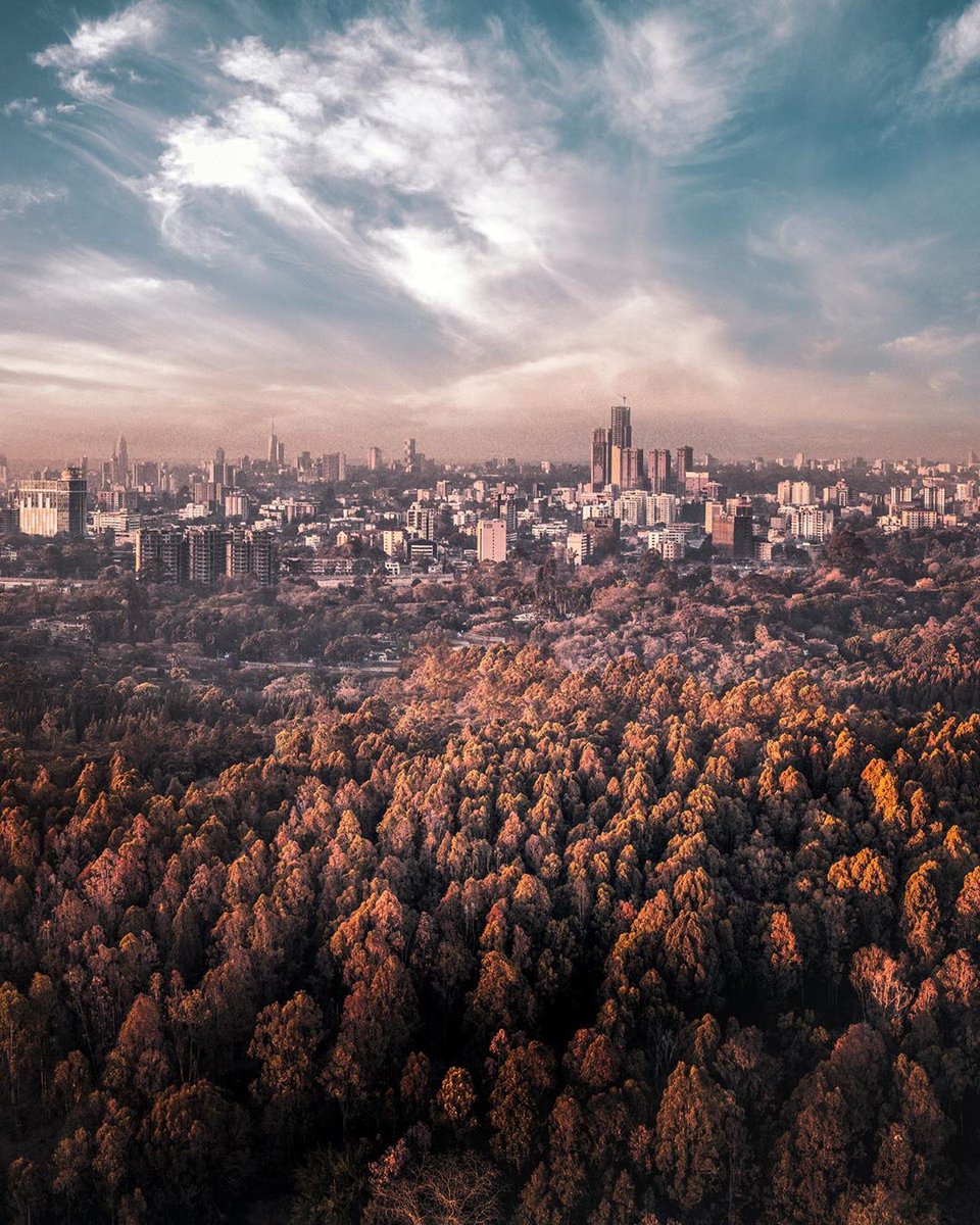 Kenya Pics on Twitter: Nairobi City from Karura Forest. Plain awesome!  Photo by @GhannamSamy https://t.co/Un103wjzlN / Twitter