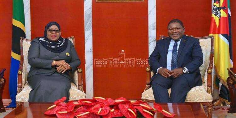 Tanzania and Mozambique join hands to create a hydrocarbon empire in Africa Tanzania and Mozambique join hands to create a hydrocarbon empire in Africa