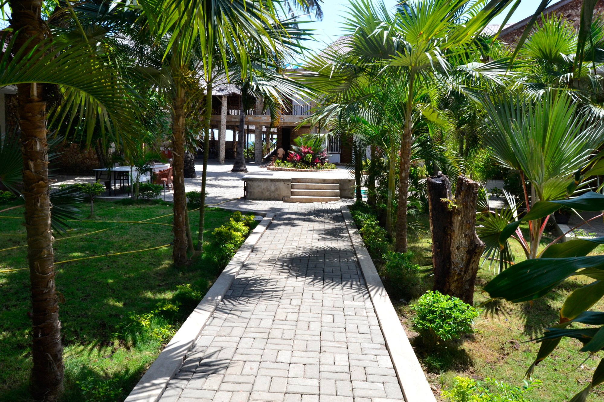 garden.jpg