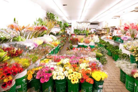 20110302-best-florists-toronto.jpg