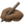 ✍🏿