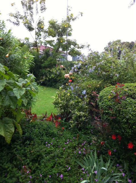 garden.jpg