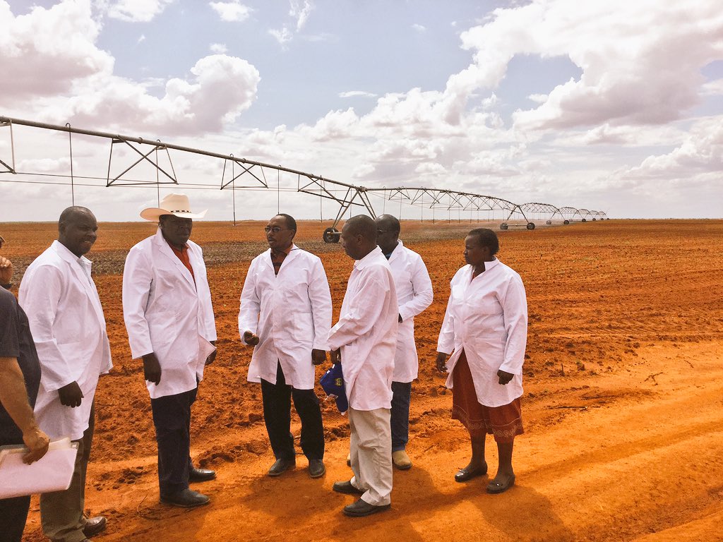 CmbgpEFWAAA9nWN.jpg:large