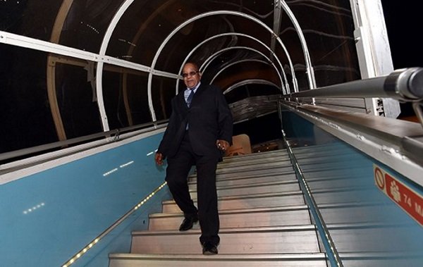 zuma1.width-800.jpg
