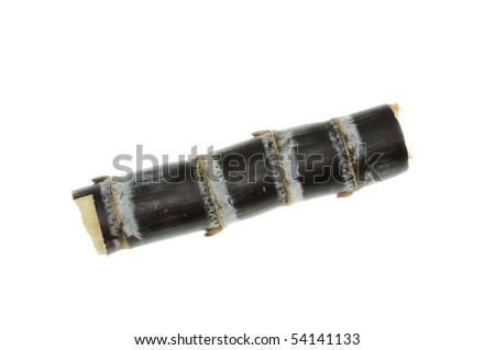 stock-photo-black-sugarcane-isolated-on-white-54141133.jpg