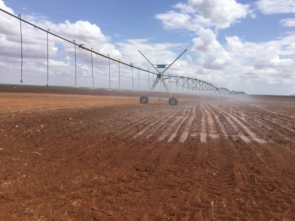 CmbmSiIWIAARnaw.jpg:large