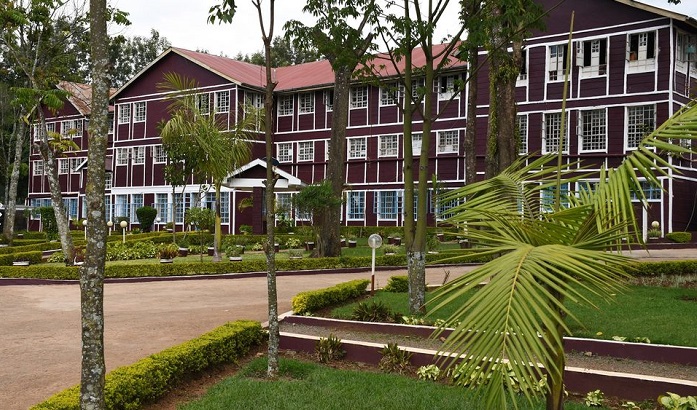featured-Sironga-pic.jpg
