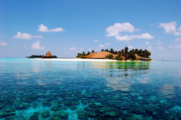 Maldives-2.jpg