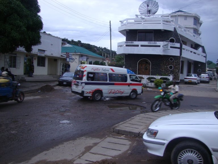 shimo.JPG