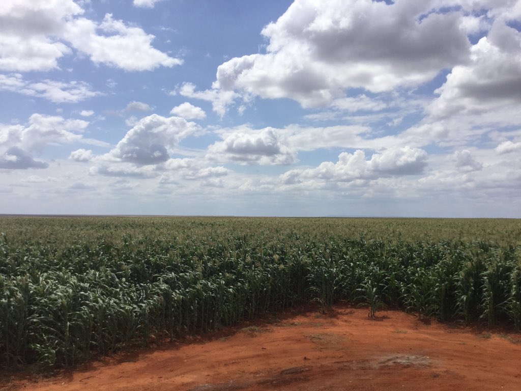 CmbeMCfWAAAXTjS.jpg:large