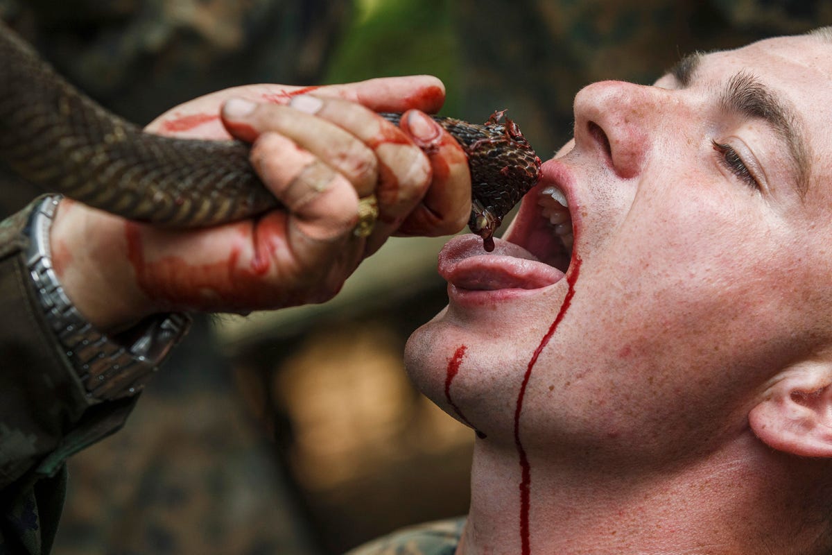 bonus-the-us-marines-are-hardcore-in-their-own-right-below-a-us-marine-drinks-the-blood-of-a-cobra-during-a-jungle-survival-exercise-with-the-thai-navy-as-part-of-the-cobra-gold-2014-joint-military-exercise.jpg
