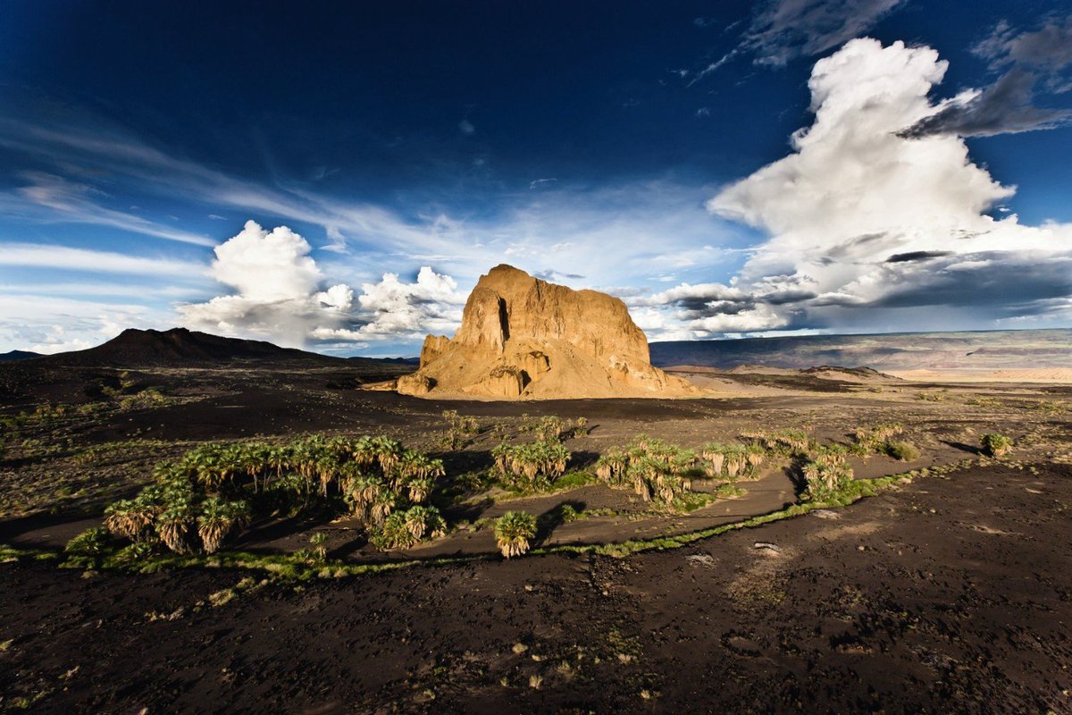 DIIXIOuXcAA3Nm0.jpg:large