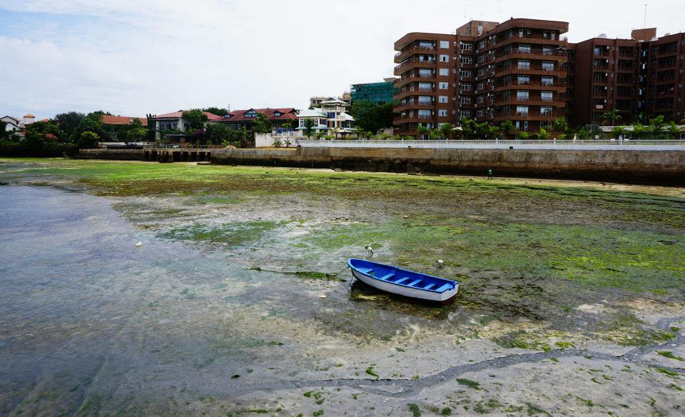 lowtide.jpg